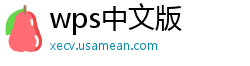 wps中文版